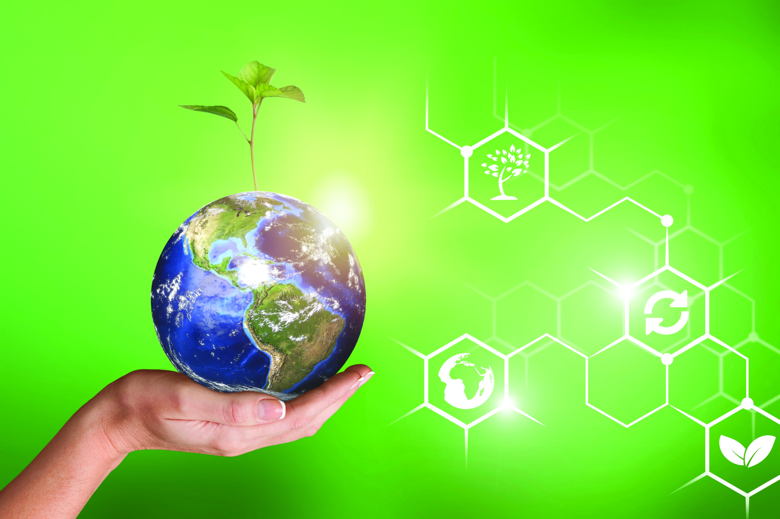 ženska roka a kateri je zemlja iz katere raste zelenje